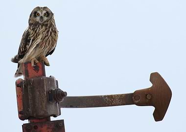 Good with directions