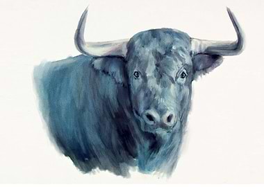 blue bull