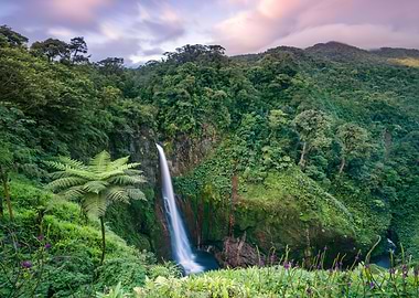 Catarata del Toro Alajuela