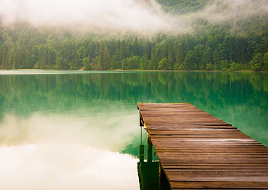 Moody Summer Morning