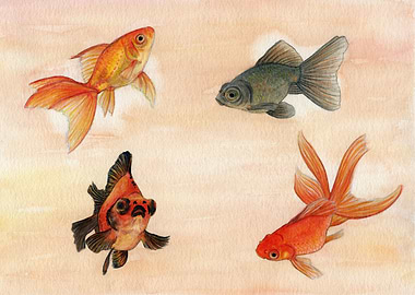 Golden fishes