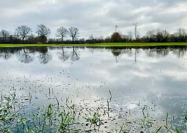 Fields after rainy days