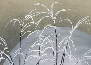 Frost From Momoyogusa