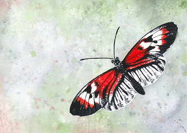 Piano key butterfly