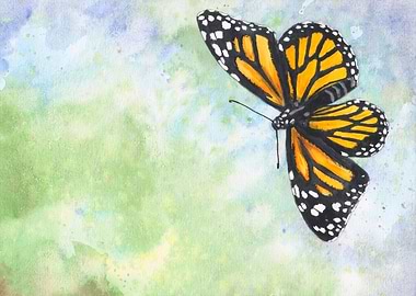 Monarch butterfly