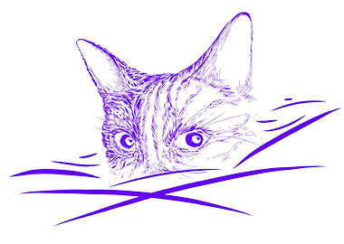 Cat behind blade of grass