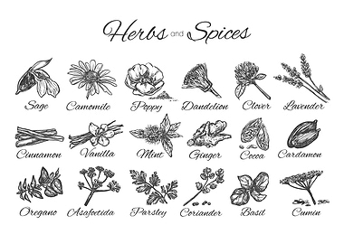 Herbs and Spices