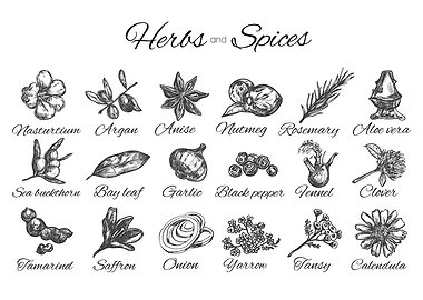Herbs and Spices