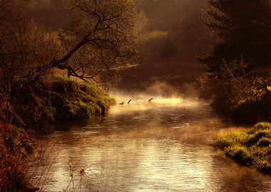 Foggy morning on the river
