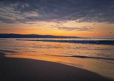 Sea sunrise with seagulls