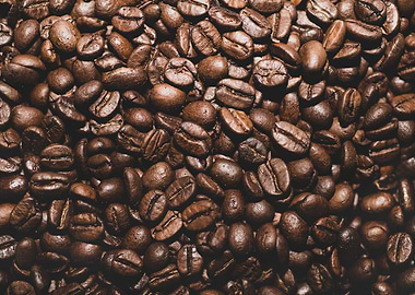 Coffee Beans Pattern 1