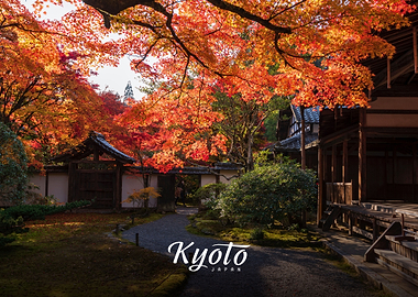 Kyoto