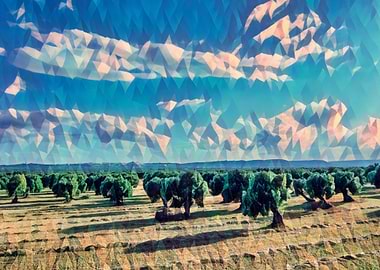 Countryside of Salento