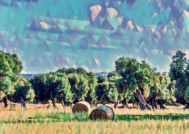 Countryside of Salento