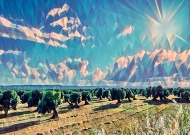 Countryside of Salento