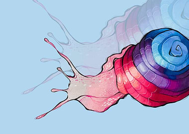 The Secret of the Shell