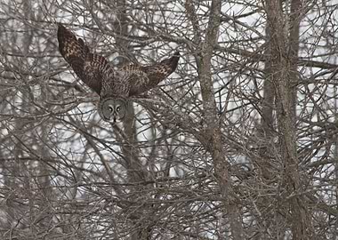 In flight camouflage