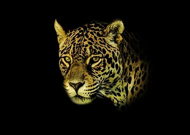Jaguar portrait