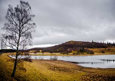 Scotland Landscape