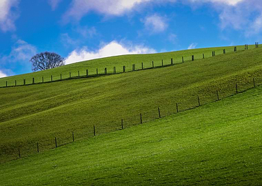 Green fields and blue sky