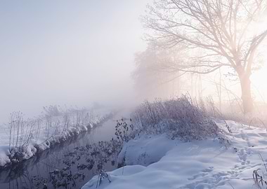 Sunny day winter sunrise