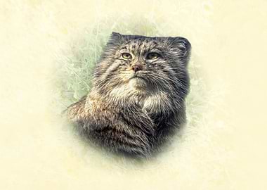 Manul