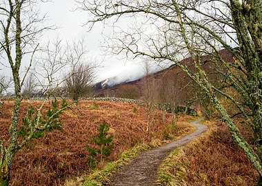 A Road to the Mountains