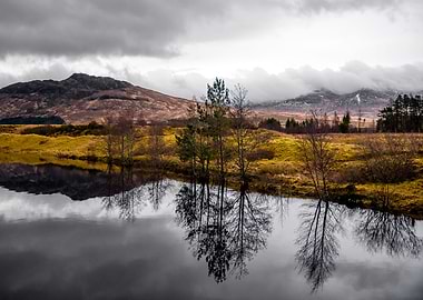 Reflections of Nature