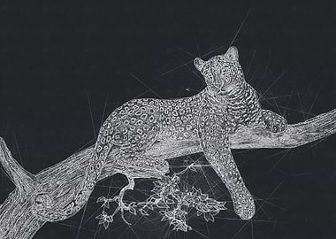 Leopard Nature Drawing