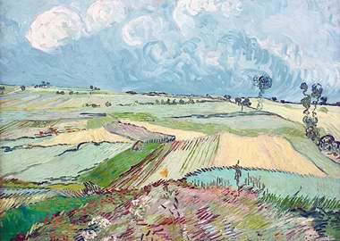 Wheat Fields after Rain