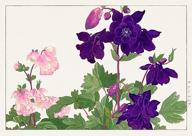 Sweet purple flowers