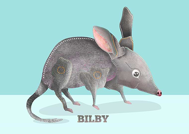 Bilby Australian Animal