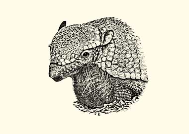 Armadillo