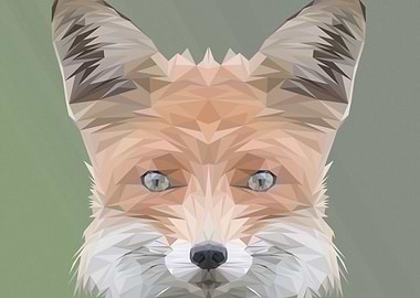 Geometric Fox