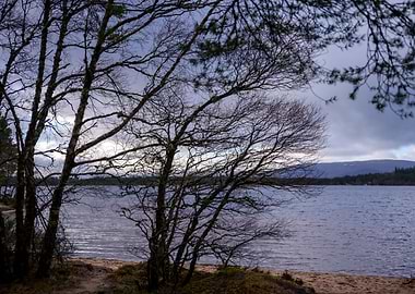 Late Afternoon Landscape