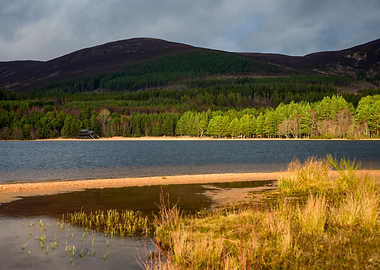 Loch Morlich in Scotland