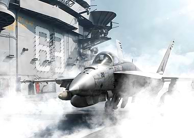 Combat Aircraft