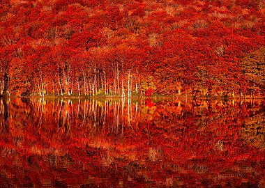 Autumn colors Tohoku Autum