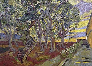 The garden of the Asylum