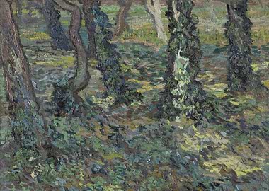 Tree trunks with ivy