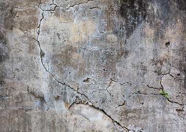Old Cracked Wall