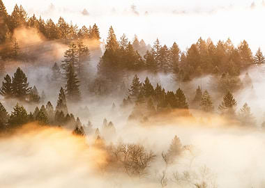 Fog in the mountains