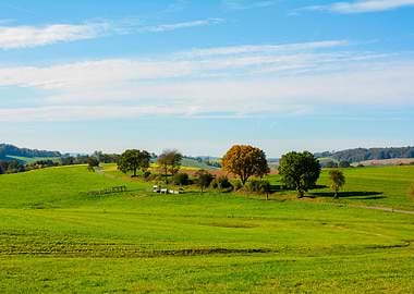 In the peace of nature