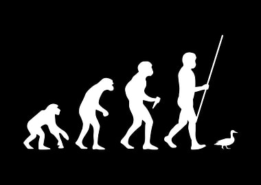 Duck Evolution
