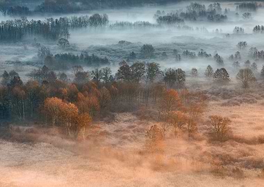 Autumnal misty dawn