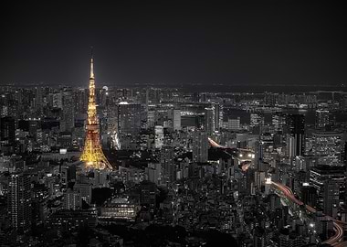 Tokyo at night
