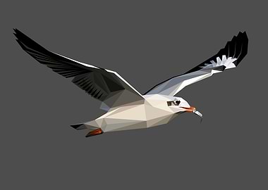 Abstract Flying Dove