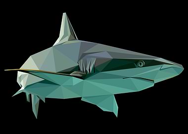 The Shark Abstract