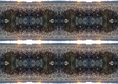 Abstract Dandelion Art