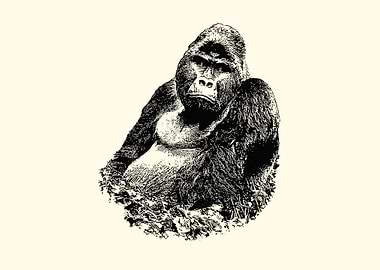 Gorilla